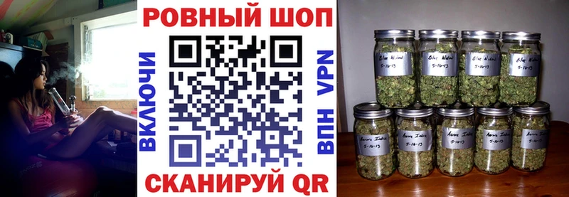LSD-25 Сясьстрой