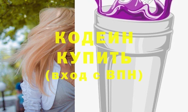 индика Абинск