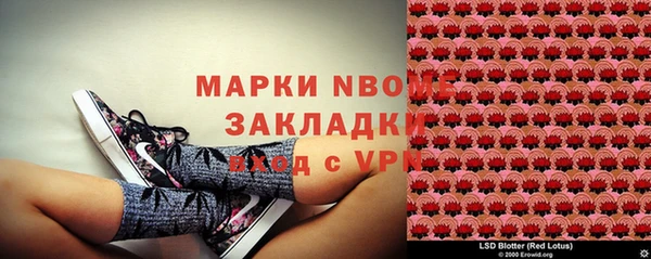 индика Абинск