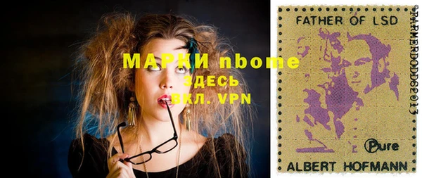 индика Абинск