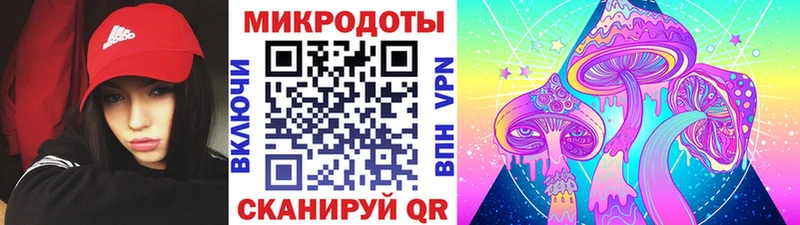 Псилоцибиновые грибы GOLDEN TEACHER  мега ССЫЛКА  Сясьстрой 